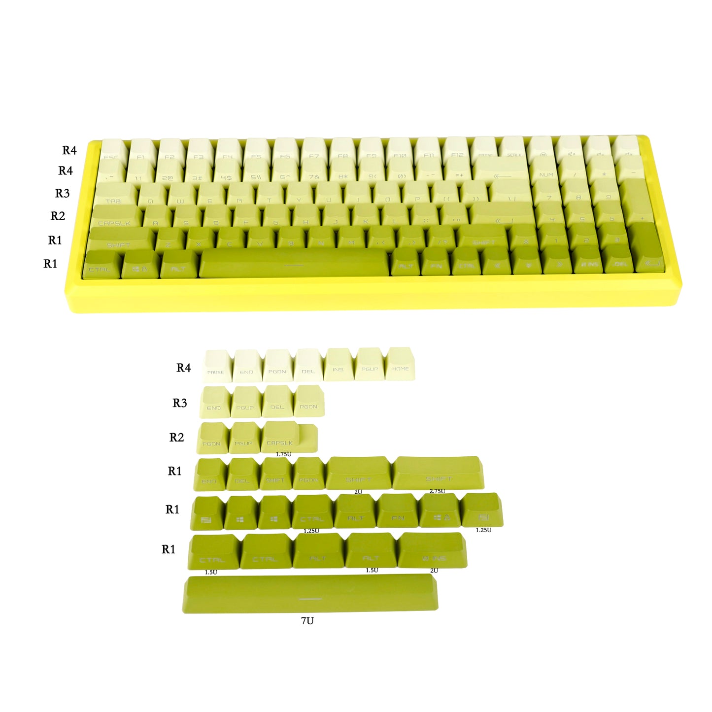 YMDK OEM Profile 133 Side-lit Keycap(PBT Double Shot Shine Through Backlit )