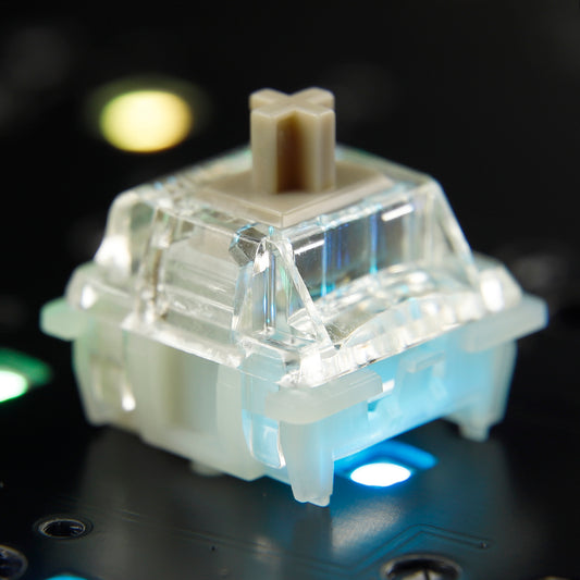 Gateron Baby Racoon Switches(SMD 5 Pin Pre-lubed)
