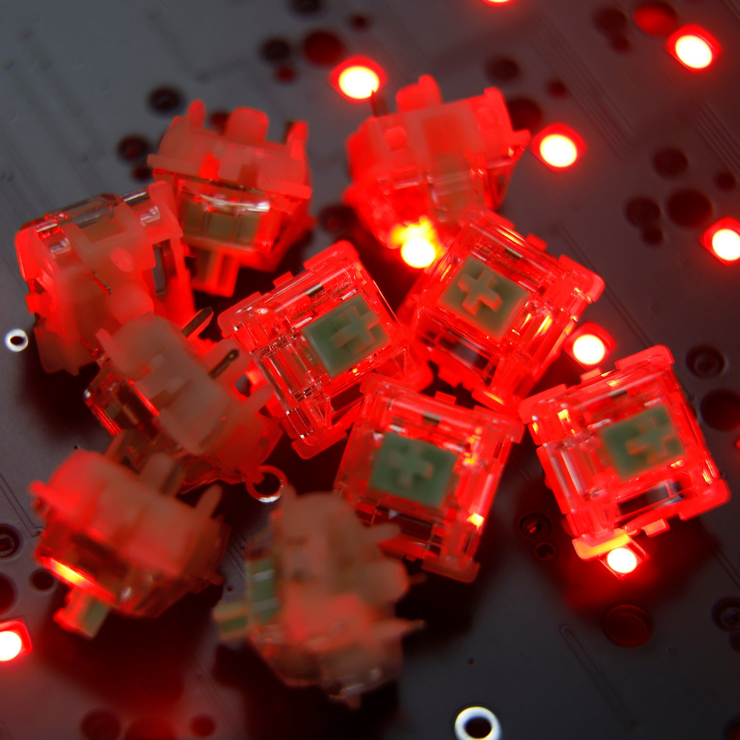 Gateron Baby Kangaroo Switches(59g Tactile 5 pin Pre-lubed)