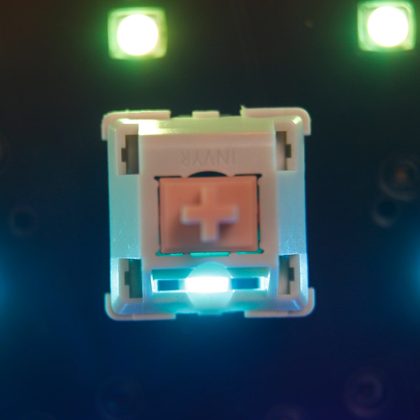 Original INVYR PANDA Switch( 5 pin tactile 50gf )