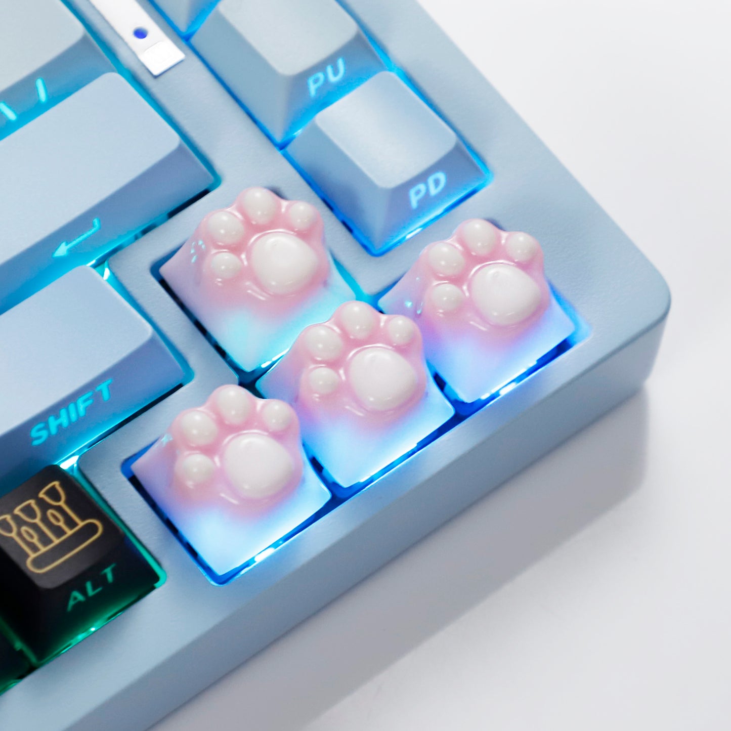 YMDK Cat Claw Personality Keycap ESC Key Shine Through Resin Arrow Keys Cute Creative Keycap for MX Mechanical Keyboard