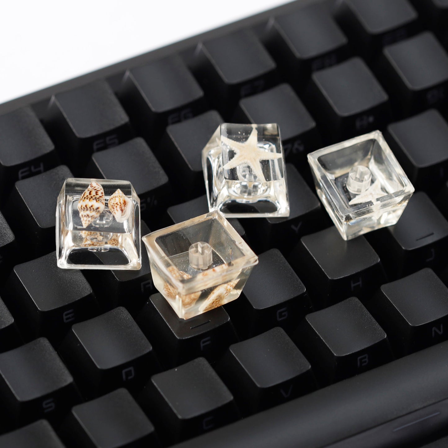 YMDK Conch Starfish Personalized Keycaps 4 keys Light-transmitting Key Cap Cute Novel Fresh Keycap Resin for Mechanical Keyboard