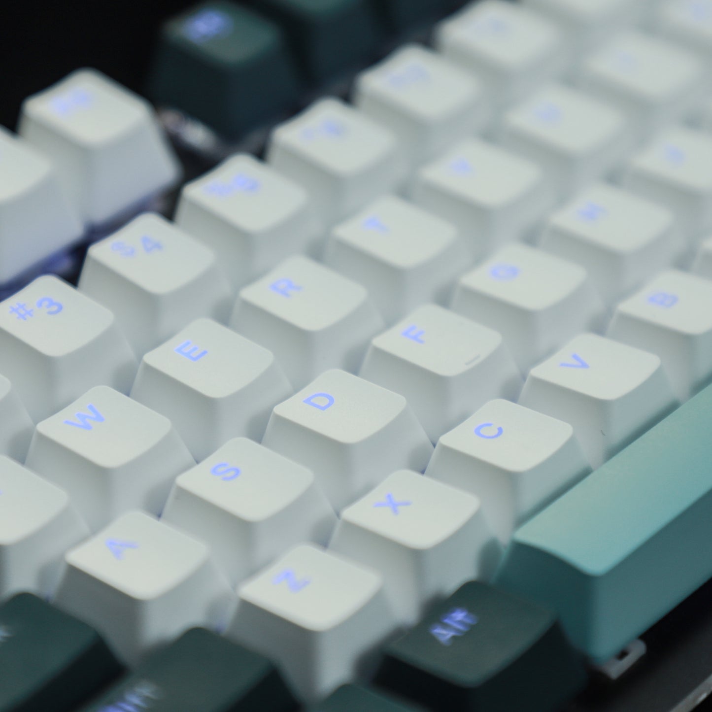 YMDK Botanical Backlit 124 Keycaps(Double Shot OEM Profile/104 87 84 68 Using)