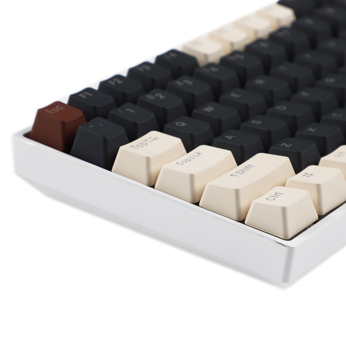 YMDK Wild Theme Backlit 122 Keycaps(Double Shot OEM Profile)