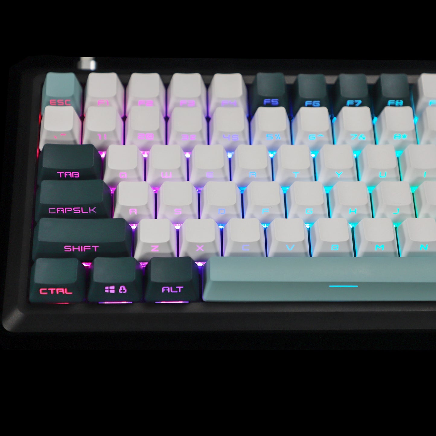 YMDK Botanical Sidelit 134 Keycaps(Double Shot OEM Profile/104 96 87 84 68 Using)
