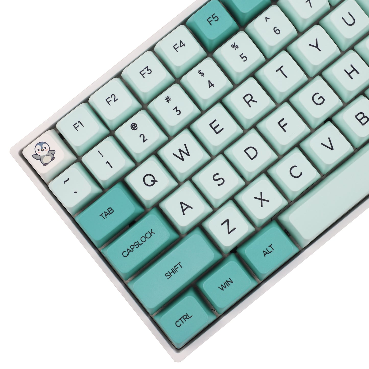 YMDK Iceberg 146 Keycaps(Dye Sub MDA Profile 1.55mm)