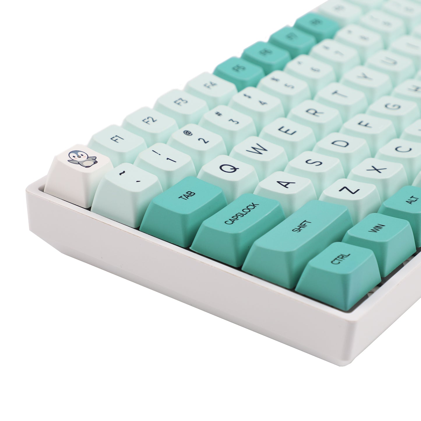 YMDK Iceberg 146 Keycaps(Dye Sub MDA Profile 1.55mm)