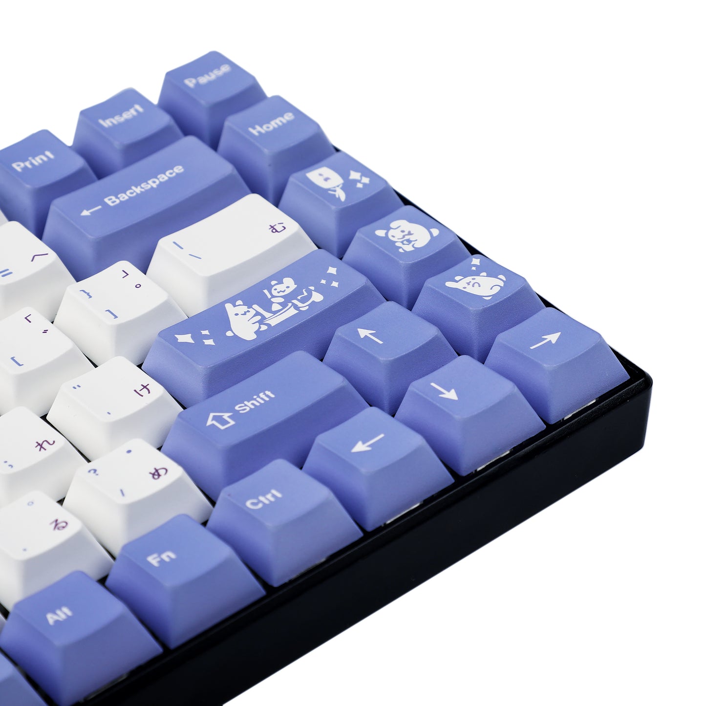 137 Rabbits Japanese Keycaps(Dye Sub Cherry Profile/TKL GK61 96 84 GMMK Using)