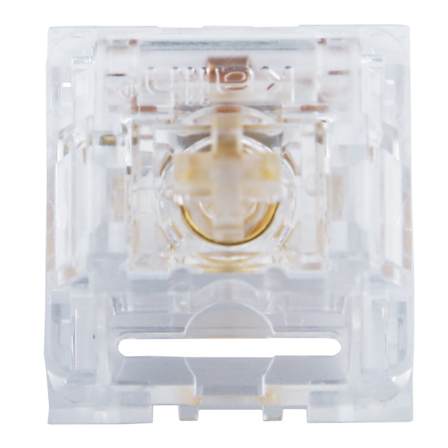 Kailh Clione Limacina Switches(Sea Angle/5 pin Tactile or Linear)