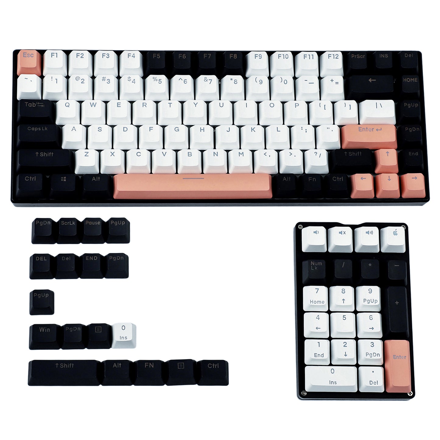 122 Olivia Backlit Keycaps(Double Shot OEM Profile/104 87 84 68 Using)