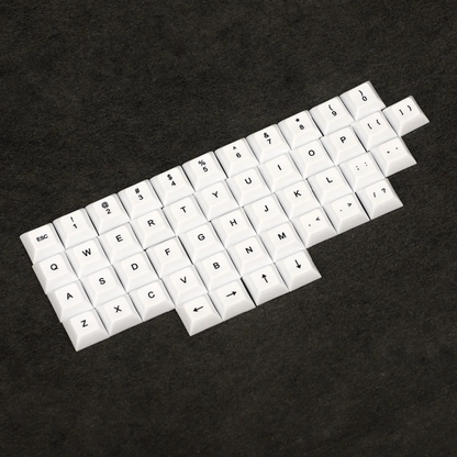 DSA 48 Keycaps(PBT 1.4mm Thickness/Planck Filco Ergodox Using)