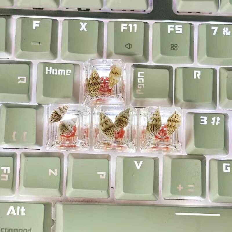 YMDK Conch Starfish Personalized Keycaps 4 keys Light-transmitting Key Cap Cute Novel Fresh Keycap Resin for Mechanical Keyboard