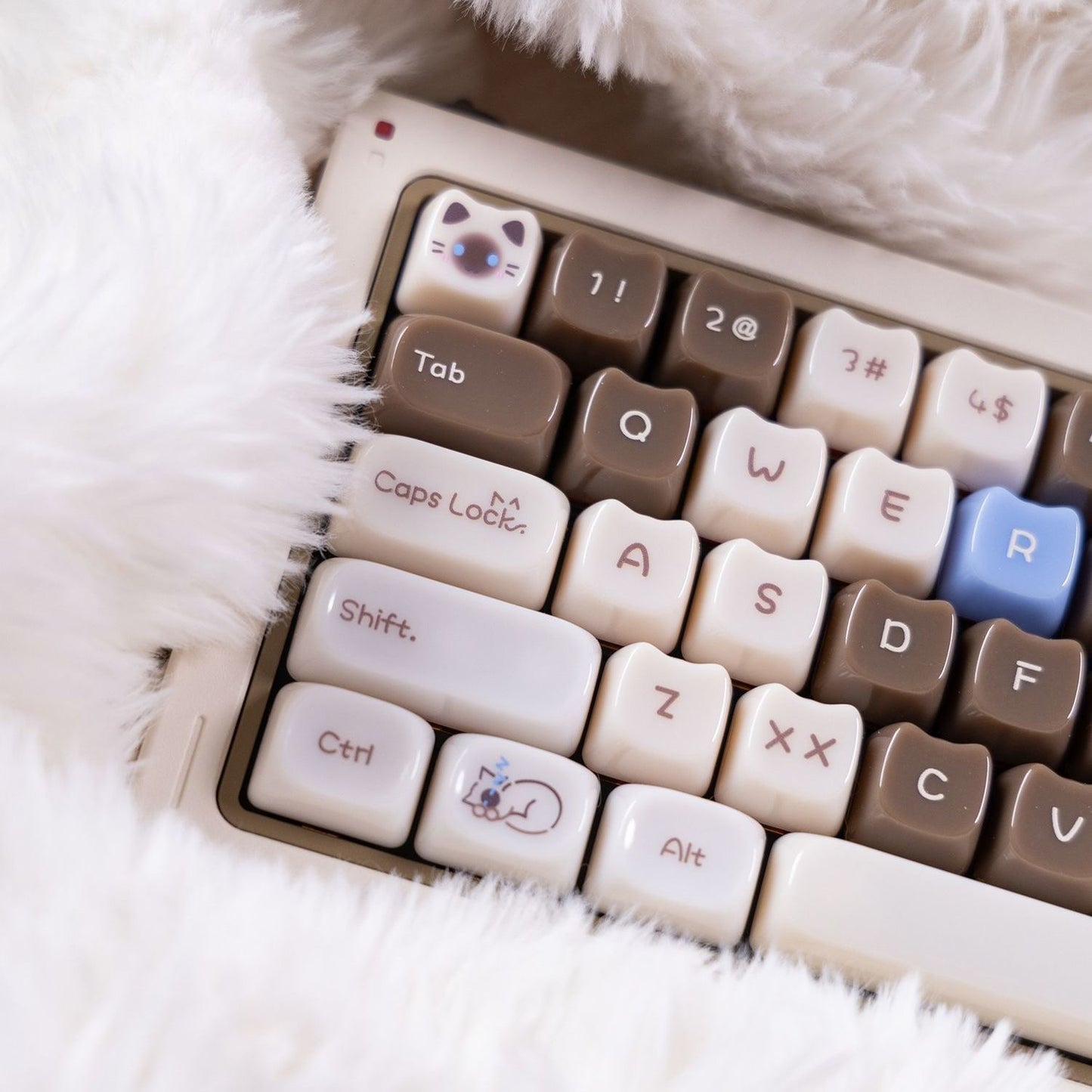 YMDK 148 Keys Ragdoll Cat Top Print MAO Profile PC Material Custom Keycaps for 65/75/87/98/100/104 MX Mechanical keyboard