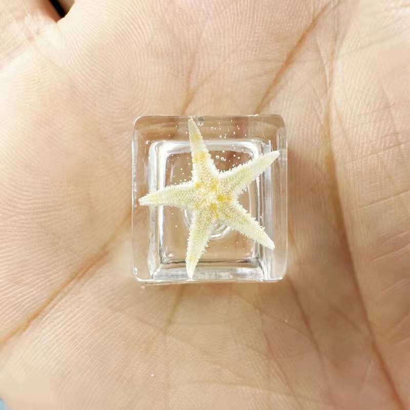 YMDK Conch Starfish Personalized Keycaps 4 keys Light-transmitting Key Cap Cute Novel Fresh Keycap Resin for Mechanical Keyboard