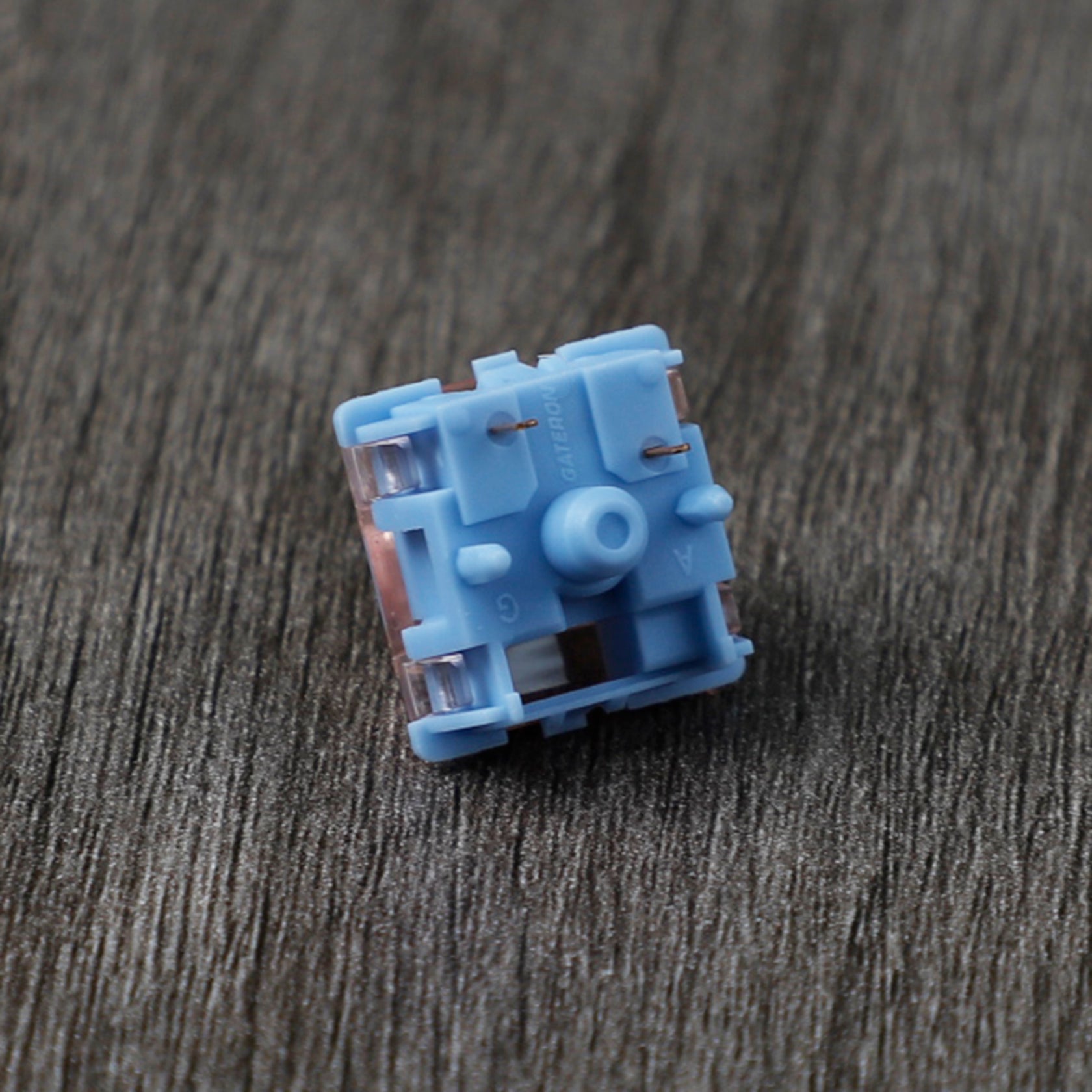 502446_8