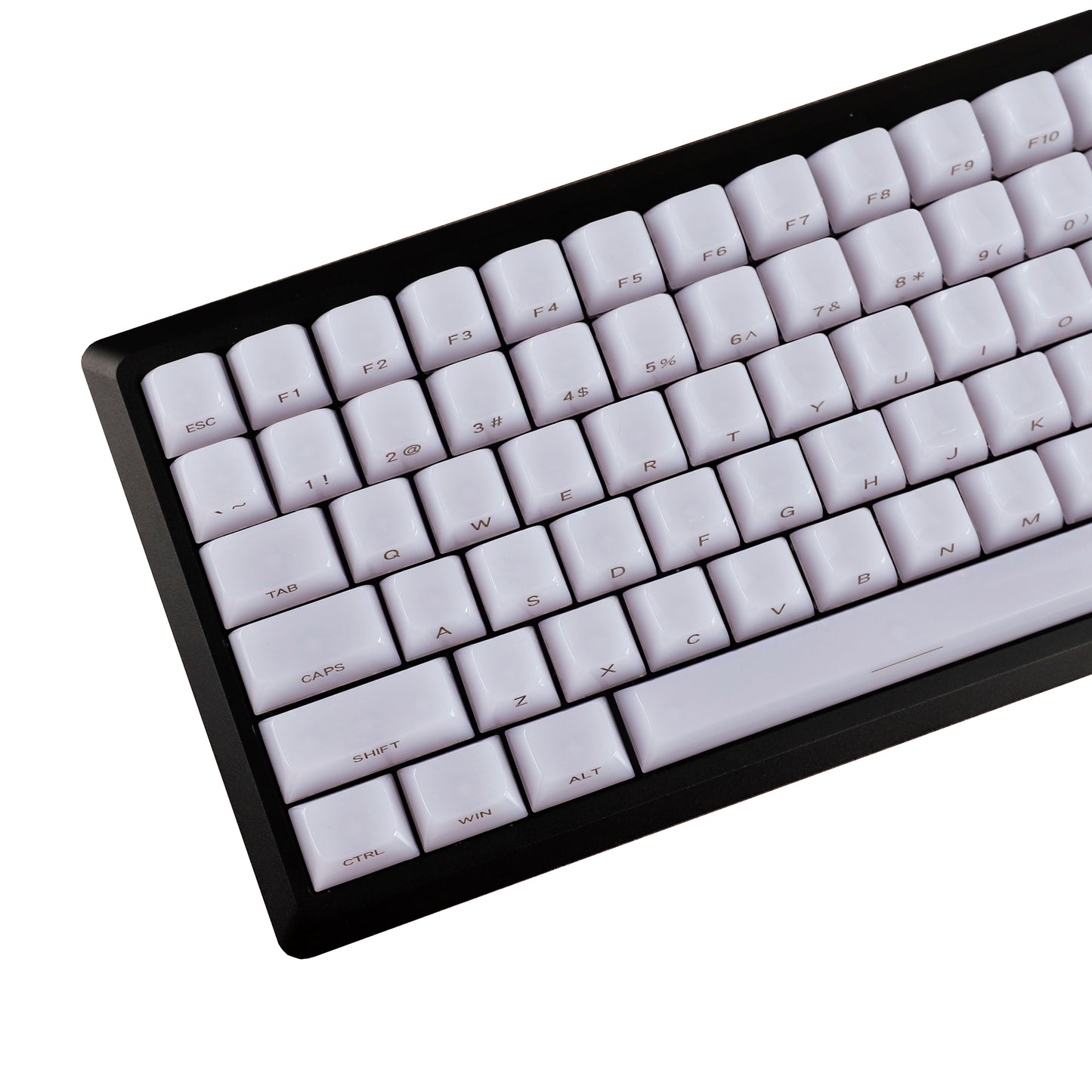 YMDK 119 Keys Jellyfish Keycaps Side Print Shine Through MDA Profile PC Material Custom Keycap for MX Mechanical Keyboards