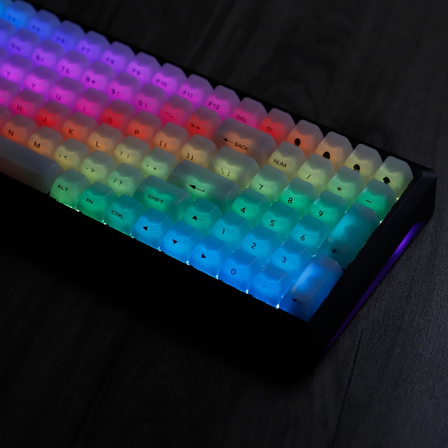 YMDK 119 Keys Jellyfish Keycaps Side Print Shine Through MDA Profile PC Material Custom Keycap for MX Mechanical Keyboards