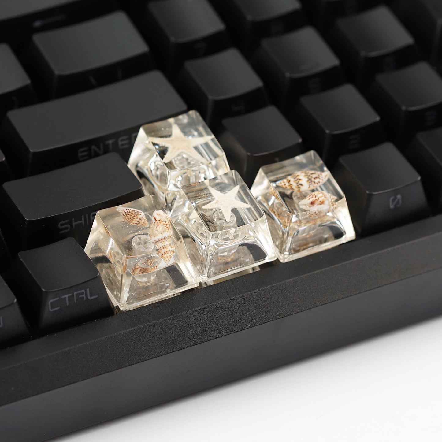 YMDK Conch Starfish Personalized Keycaps 4 keys Light-transmitting Key Cap Cute Novel Fresh Keycap Resin for Mechanical Keyboard