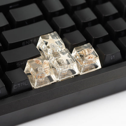 YMDK Conch Starfish Personalized Keycaps 4 keys Light-transmitting Key Cap Cute Novel Fresh Keycap Resin for Mechanical Keyboard