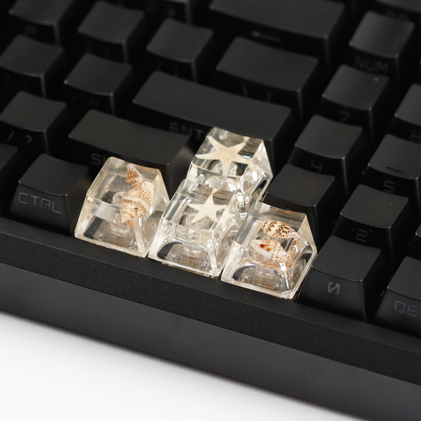 YMDK Conch Starfish Personalized Keycaps 4 keys Light-transmitting Key Cap Cute Novel Fresh Keycap Resin for Mechanical Keyboard
