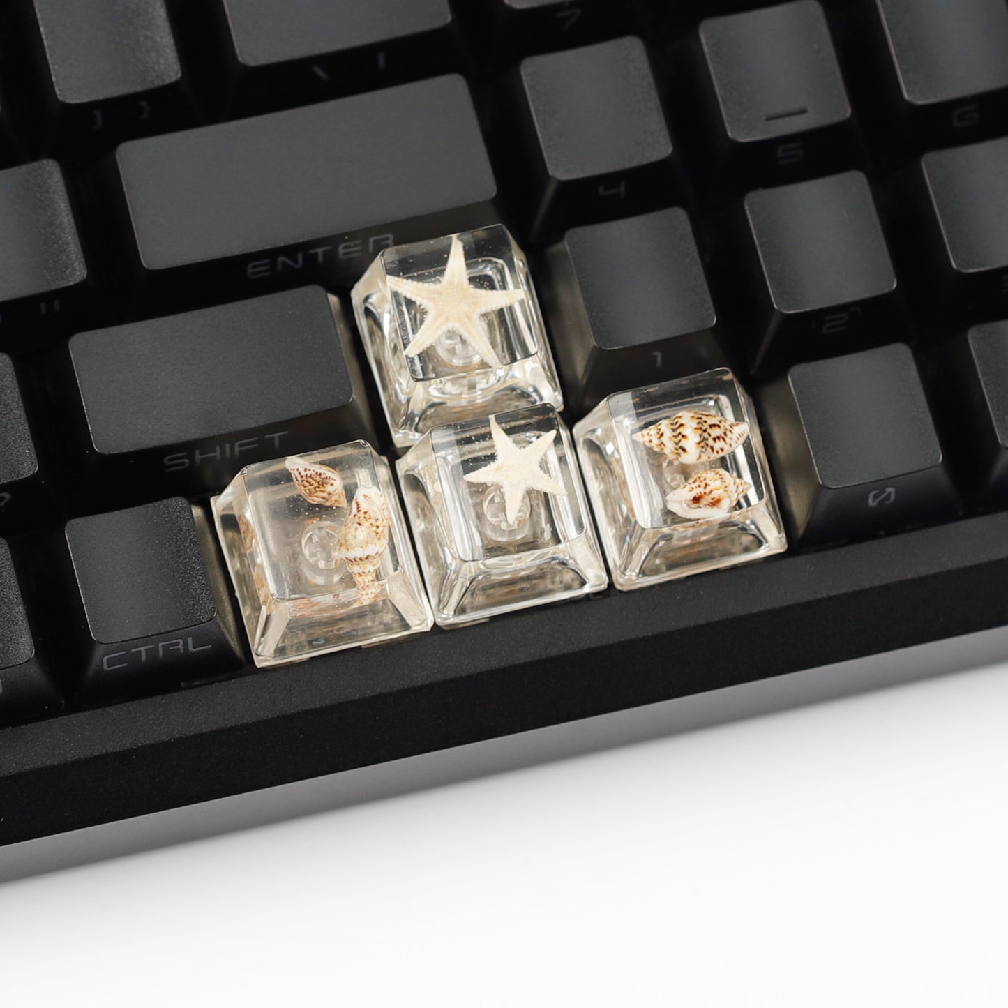 YMDK Conch Starfish Personalized Keycaps 4 keys Light-transmitting Key Cap Cute Novel Fresh Keycap Resin for Mechanical Keyboard