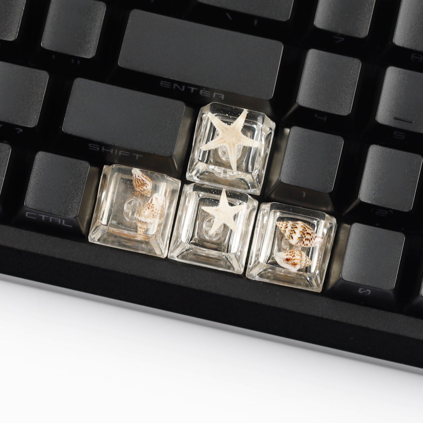 YMDK Conch Starfish Personalized Keycaps 4 keys Light-transmitting Key Cap Cute Novel Fresh Keycap Resin for Mechanical Keyboard