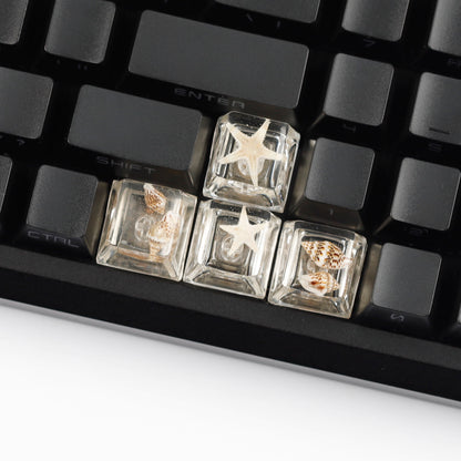YMDK Conch Starfish Personalized Keycaps 4 keys Light-transmitting Key Cap Cute Novel Fresh Keycap Resin for Mechanical Keyboard