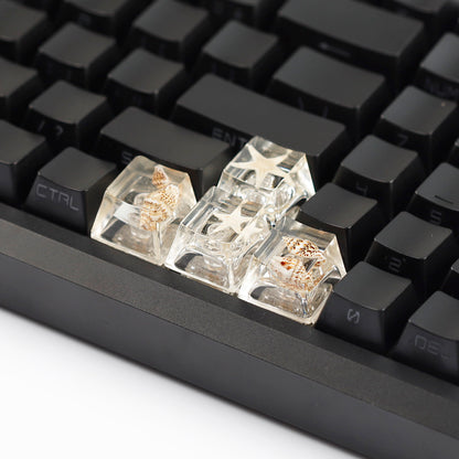 YMDK Conch Starfish Personalized Keycaps 4 keys Light-transmitting Key Cap Cute Novel Fresh Keycap Resin for Mechanical Keyboard