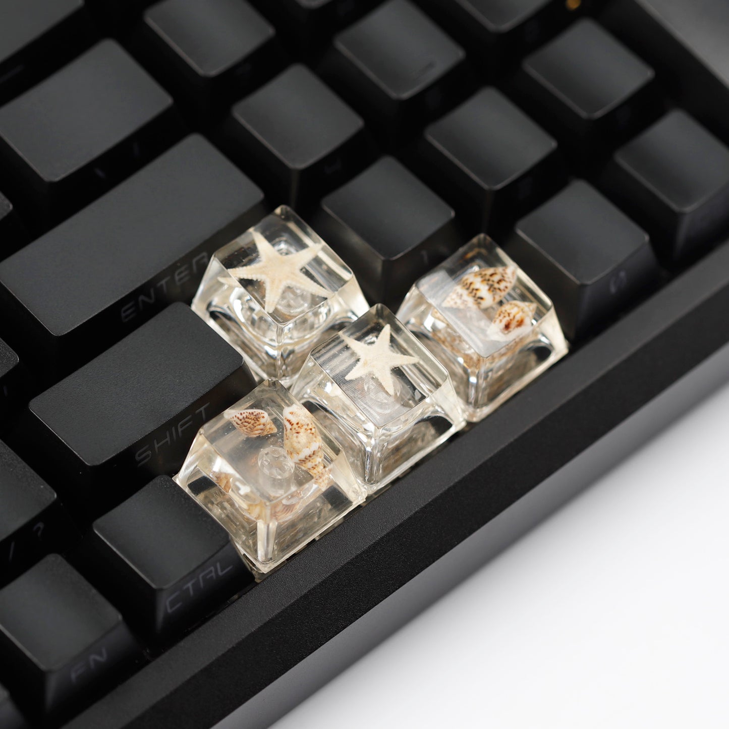 YMDK Conch Starfish Personalized Keycaps 4 keys Light-transmitting Key Cap Cute Novel Fresh Keycap Resin for Mechanical Keyboard
