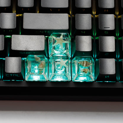 YMDK Conch Starfish Personalized Keycaps 4 keys Light-transmitting Key Cap Cute Novel Fresh Keycap Resin for Mechanical Keyboard