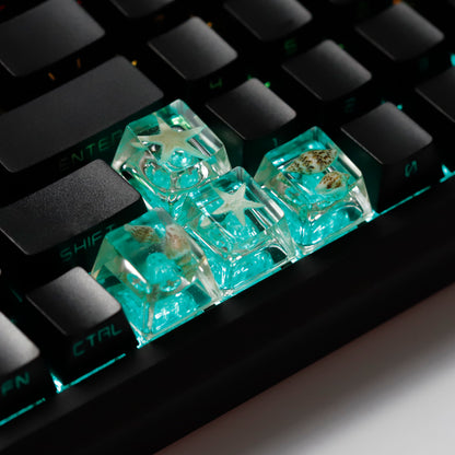 YMDK Conch Starfish Personalized Keycaps 4 keys Light-transmitting Key Cap Cute Novel Fresh Keycap Resin for Mechanical Keyboard