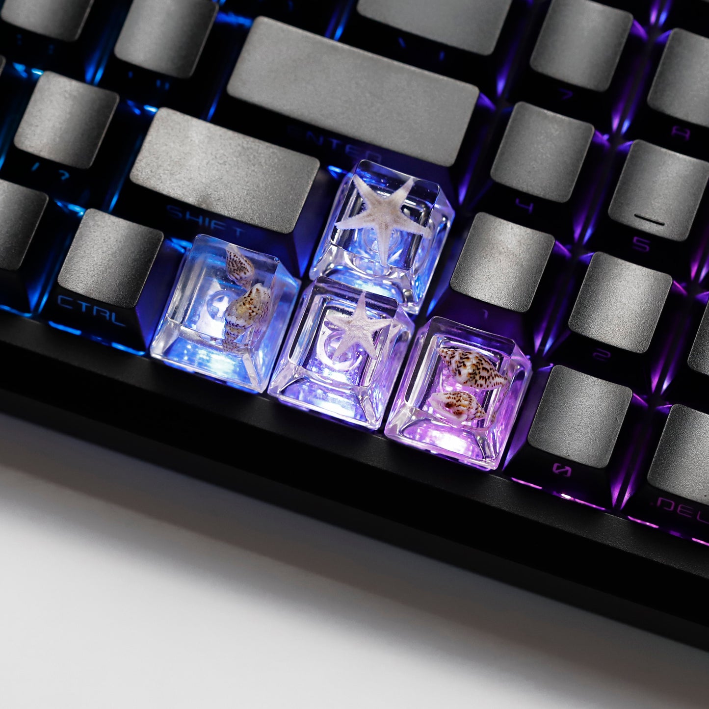 YMDK Conch Starfish Personalized Keycaps 4 keys Light-transmitting Key Cap Cute Novel Fresh Keycap Resin for Mechanical Keyboard