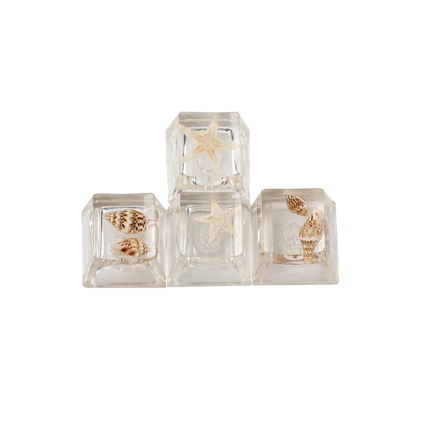 YMDK Conch Starfish Personalized Keycaps 4 keys Light-transmitting Key Cap Cute Novel Fresh Keycap Resin for Mechanical Keyboard