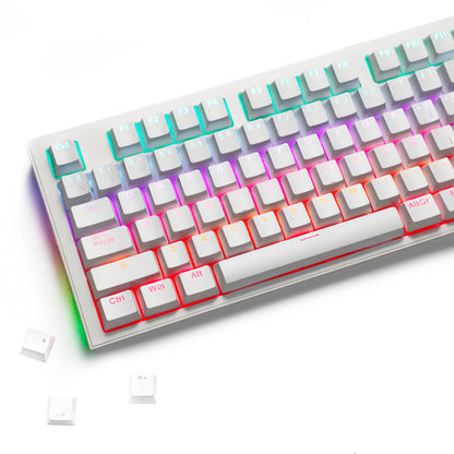 YMDK Minimalist Solid Color Backlit Spain Full Set 132 Key Double Shot OEM Profile for 68/75/87/98/104/108 MX Mechanical Keyboard