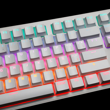 YMDK Minimalist Solid Color Backlit Spain Full Set 132 Key Double Shot OEM Profile for 68/75/87/98/104/108 MX Mechanical Keyboard
