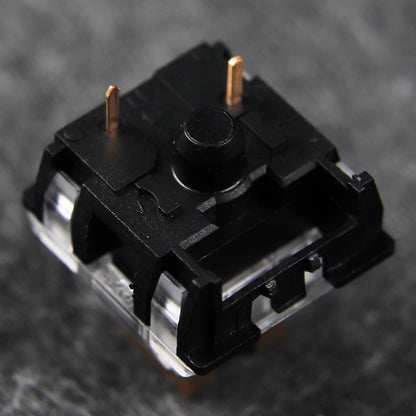 TTC Silent Brown V2 Mute  Switches(3 Pin RGB SMD 45g Tactile)